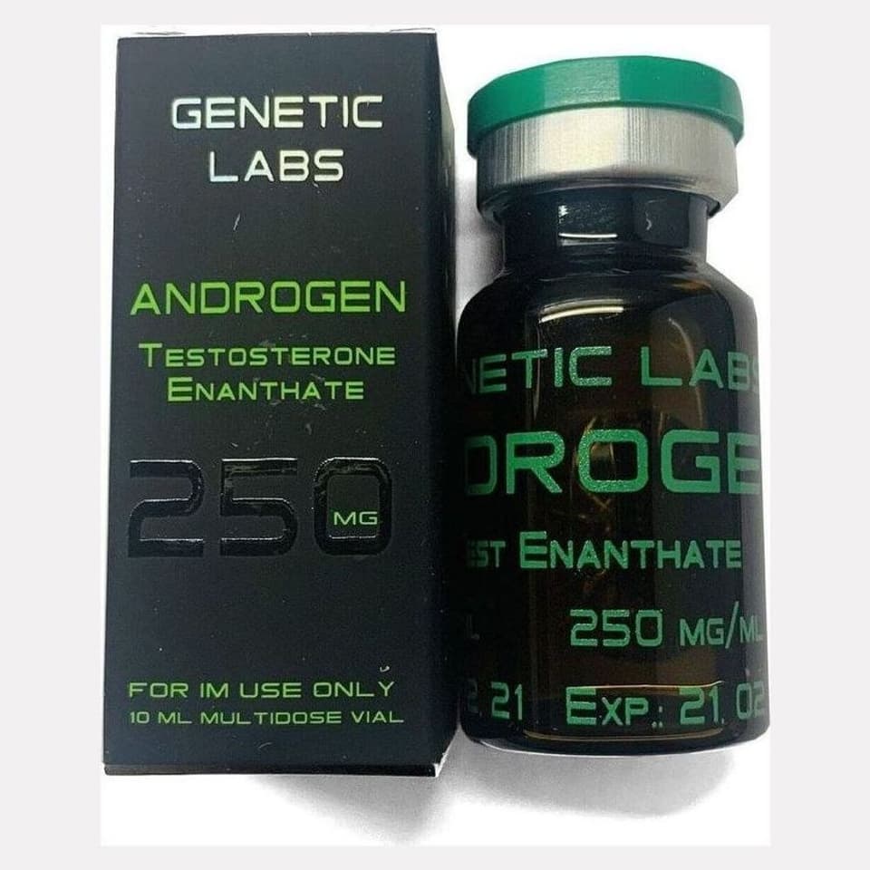 Androgen (10 ml, 250 mg/ml) – Testosteronenantat