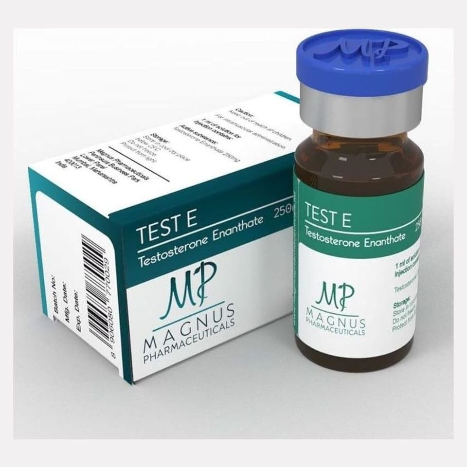 Zyklus Nr. 5 – Gain Mass (Testo E, Equipoise, Anadrol)
